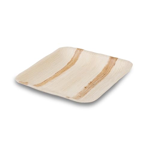 BIOZOYG Disposable Plates 25 Pack 6 Inch Square Palm Leaf Plates - Tableware Compostable Disposable - High-Quality Alternative to Bamboo Plates - Party Tableware - Image 2