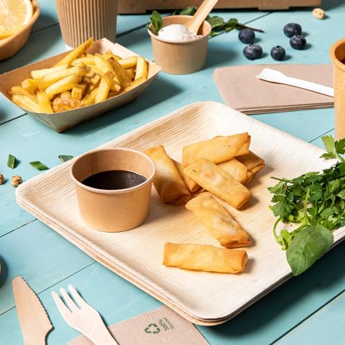 BIOZOYG Disposable Plates 25 Pack 6 Inch Square Palm Leaf Plates - Tableware Compostable Disposable - High-Quality Alternative to Bamboo Plates - Party Tableware - Image 3