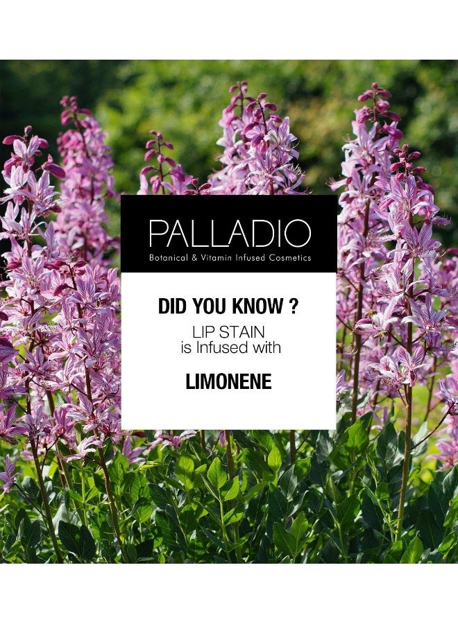 PALLADIO Lip Stain Crayon With Matte Finish | All-Day Hydrating And Waterproof Formula | High Pigmented Color For All Day Wear | Good For All Skin Type | Nude | 5 Ml - Image 5