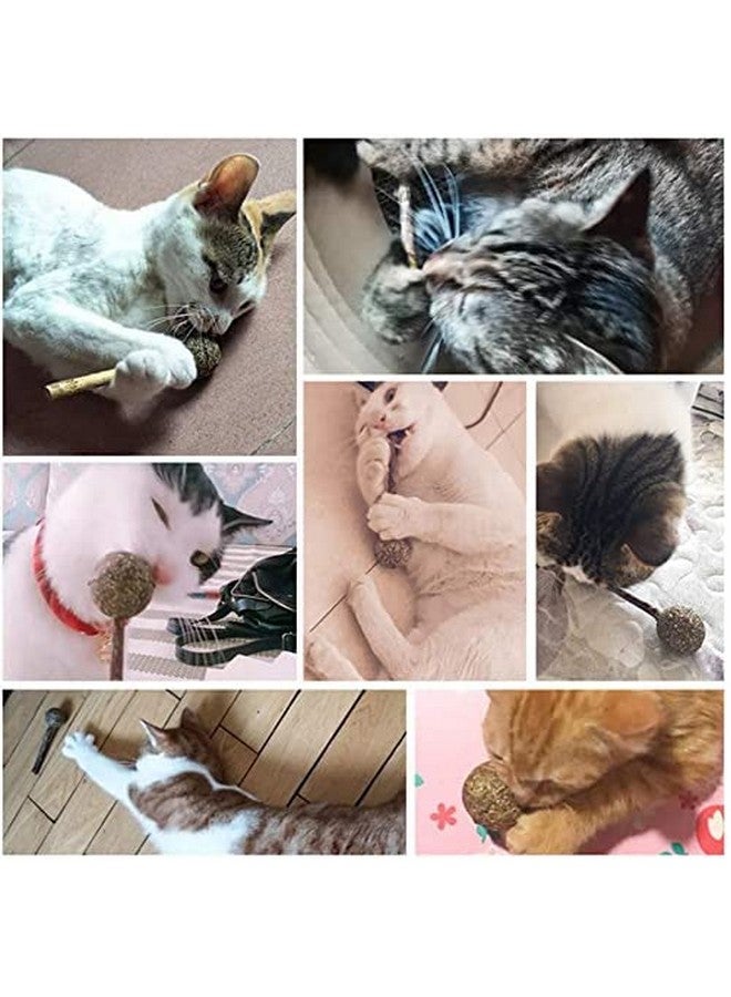 3Pcs Cat Wand With Catnip Cat Teaser Toys Chewing Toy Molar Toy Cat Chasing Toy Teeth Cleaning Dental Toy Cat Treats Interactive Cat Toys For Cat Kitten Puppy (3Pcs Pack) - Image 5