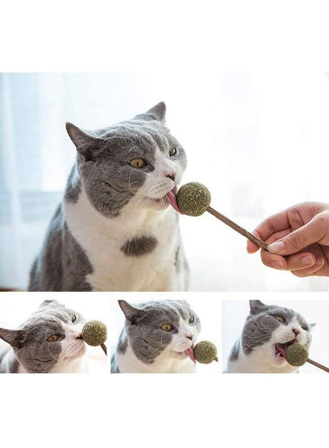 3Pcs Cat Wand With Catnip Cat Teaser Toys Chewing Toy Molar Toy Cat Chasing Toy Teeth Cleaning Dental Toy Cat Treats Interactive Cat Toys For Cat Kitten Puppy (3Pcs Pack) - Image 4