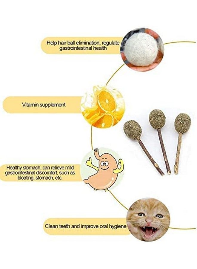 3Pcs Cat Wand With Catnip Cat Teaser Toys Chewing Toy Molar Toy Cat Chasing Toy Teeth Cleaning Dental Toy Cat Treats Interactive Cat Toys For Cat Kitten Puppy (3Pcs Pack) - Image 2