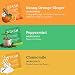 Stash Tea Soothing Herbal Tea 6 Flavor Variety Pack 6 Boxes With 1820 Tea Bags Each - Image 4