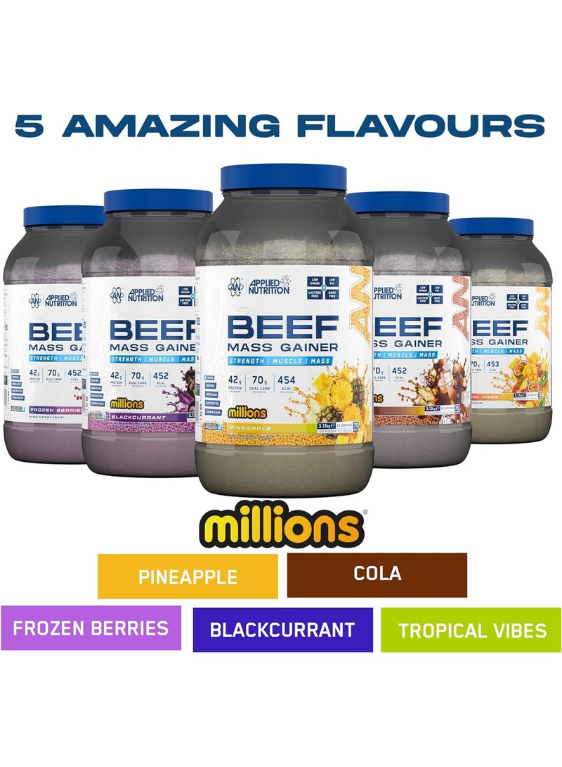 أبلايد نيوتريشن مكمل غذائي لزيادة كتلة العضلات، بنكهة الأناناس - 3 كجم | غني بالبروتين، الكرياتين، الأحماض الأمينية، خالٍ من اللاكتوز، خالٍ من الغلوتين لنمو العضلات الخالية من الدهون وزيادة قوتها - Image 4