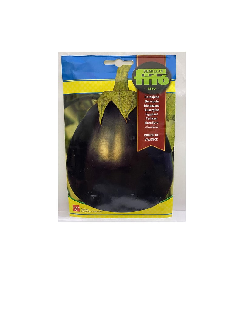 Fito FITO SEEDS VALENCE EGGPLANT4 grams  - Image 1