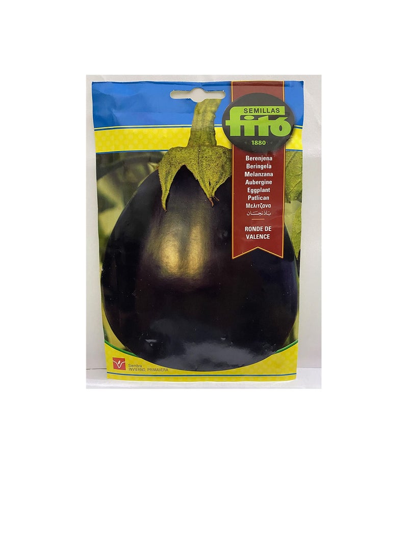 Fito FITO SEEDS VALENCE EGGPLANT4 grams  - Image 3
