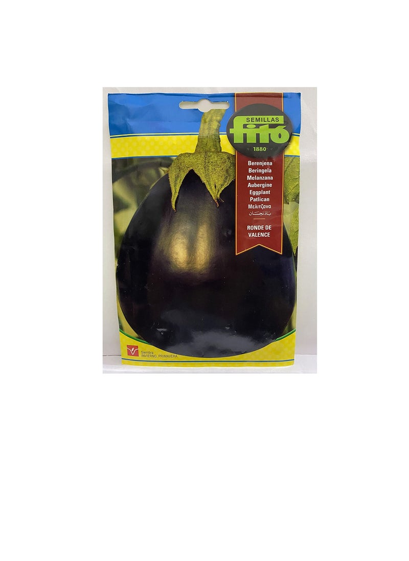 Fito FITO SEEDS VALENCE EGGPLANT4 grams  - Image 2