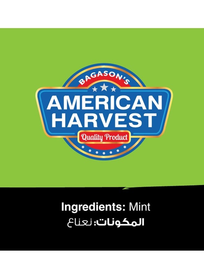 American Harvest American Harvest Mint Jar, 50 Gm  - Image 2