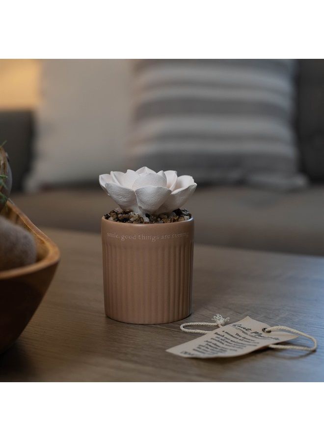 DEMDACO ديمداكو ابتسم، الأشياء الجيدة قادمة بسكوتي بيج نبتة عصارية 3 × 5 من الخزف، موزع زيت عطري زخرفي على الطاولة - Image 2