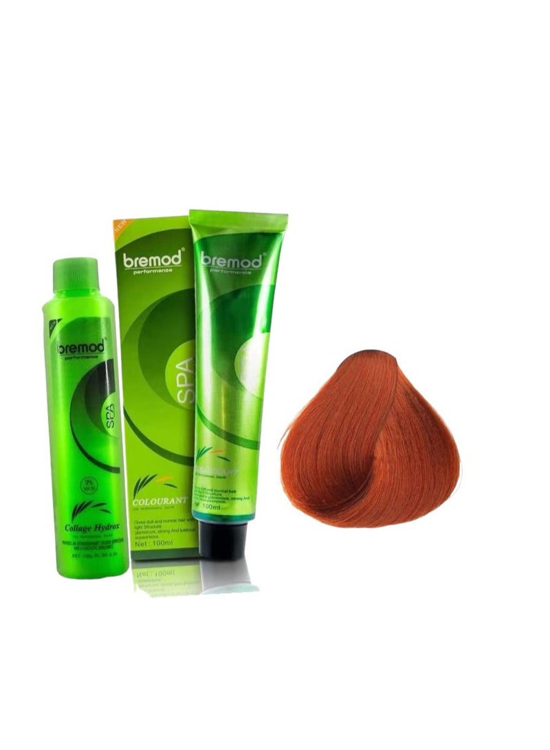 لون الشعر اشقر نحاسي فاتح بريمود