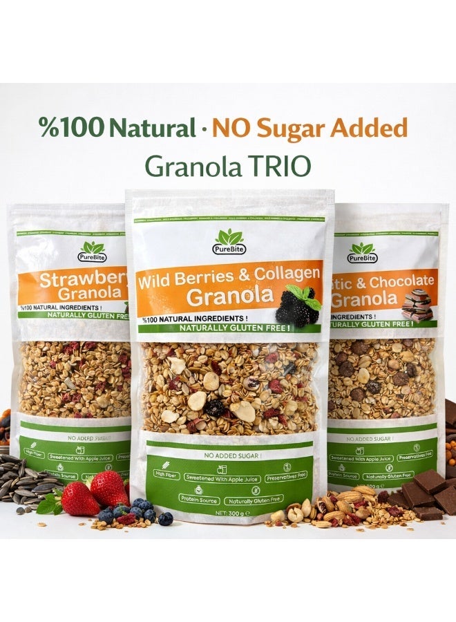 قضمة نقية باقة جرانولا 300 جم: جرانولا التوت البري والكولاجين طبيعية 100%، خالية من الغلوتين، بدون سكر مضاف و جرانولا الشوكولاتة بالبريبايوتك طبيعية 100%، خالية من الغلوتين، بدون سكر مضاف و جرانولا الفراولة طبيعية 100%، خالية من الغلوتين، بدون سكر مضاف - Image 1