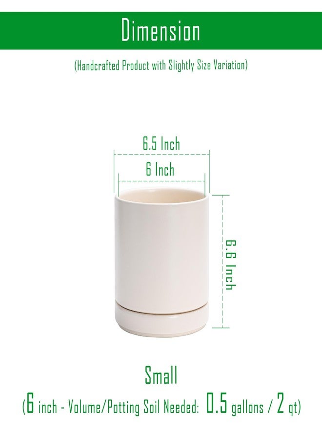 D'vine Dev Set of 2 Plants Pots, 6.5 Inch Ceramic Planter Pot for Plants with Drainage Hole and Saucer, Oatmeal, 94-V-C-8 - Image 3