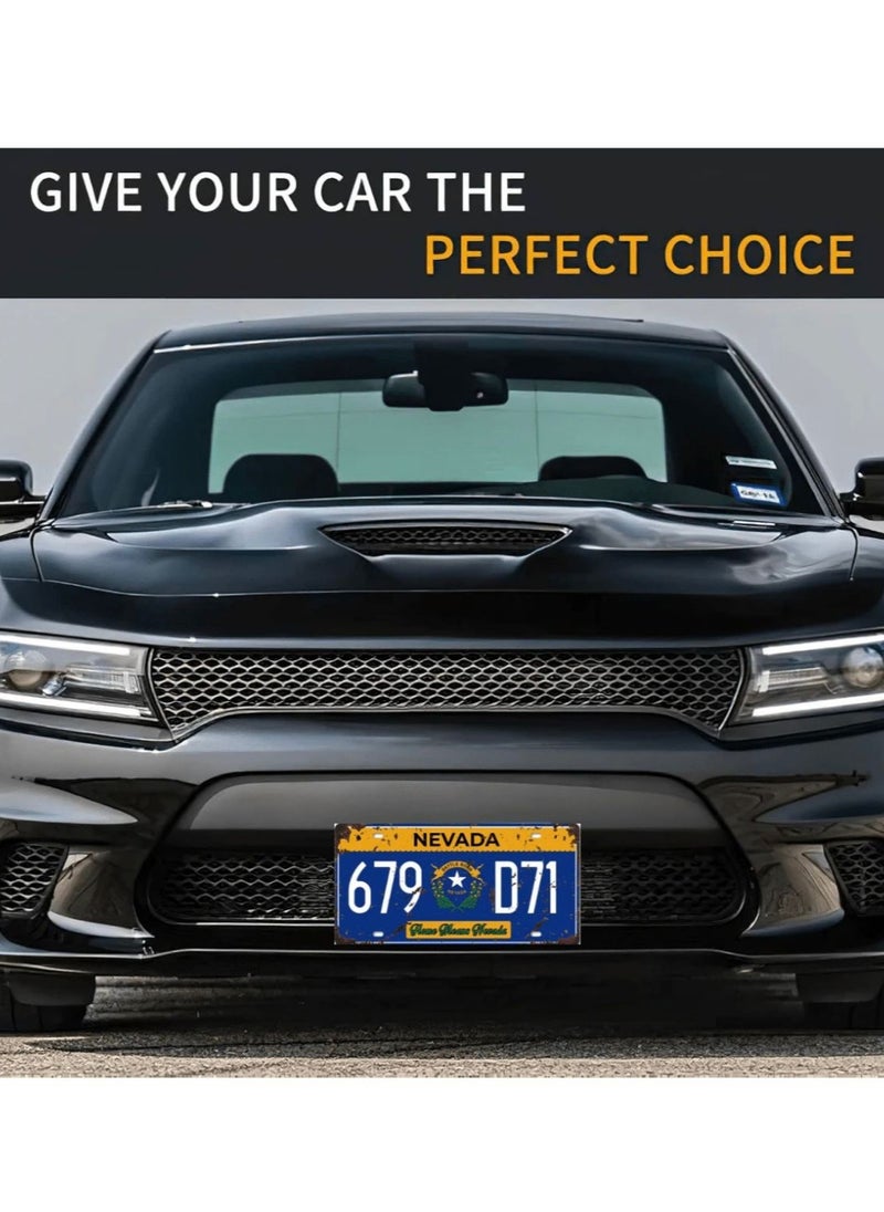 Generic Classic design car metal license plate for decoration  - Image 3