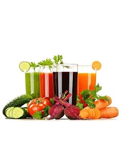 AryaSetu Enterprise AryaSetu Enterprise Mini Portable Juicer Machine Juicer Hand Juicer for Fruits and Vegetables with Steel Handle Vacuum Locking SystemShakeFruit Juicer Machine for All Fruits Multi 1PC  - Image 3