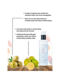 Mantra Mantra Herbal Lime and Olive Hair Conditioner For Dry and Damaged Hair For Men - 250 ml | Nourish the Scalp and Hair Follicles  - Image 3