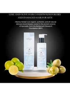 Mantra Mantra Herbal Lime and Olive Hair Conditioner For Dry and Damaged Hair For Men - 250 ml | Nourish the Scalp and Hair Follicles  - Image 4