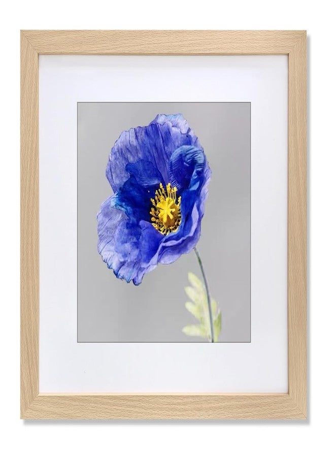 VNVNK 17x17 Frame Natural Wood Color, Perfect for 17x17 Inch Picture without Mat or 13x13 Inch Picture with Mat, Home Wall Decor Picture Frame-1 PCS - Image 1