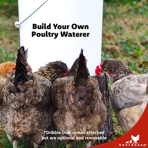 RentACoop DIY Waterer Kit - Horizontal Nipples with Dribble Dish and Installation Tool - Great for Chickens, Turkeys, Peafowl, and Other Poultry - 12 Pack - Image 3