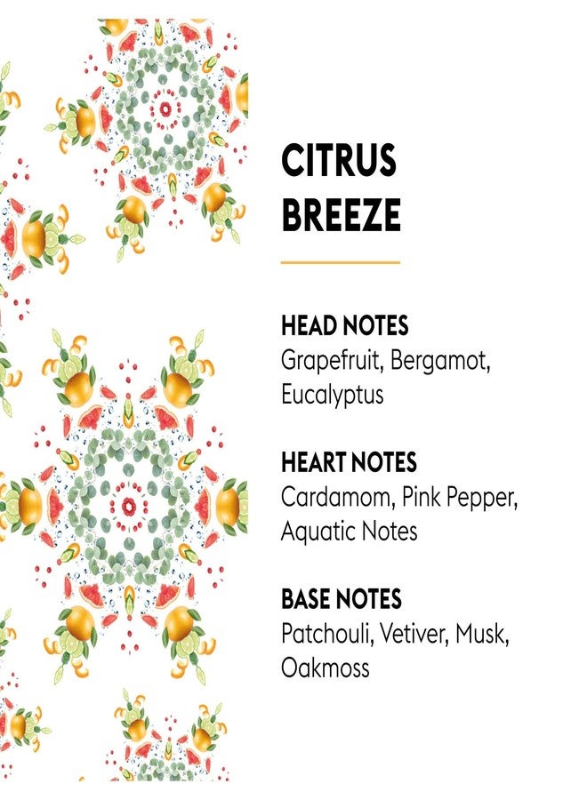 ميزون برجر عبوة إعادة تعبئة معطر جو للسيارة من ميزون بيرجر - برائحة نسيم الحمضيات - طقم من قطعتين - Image 4