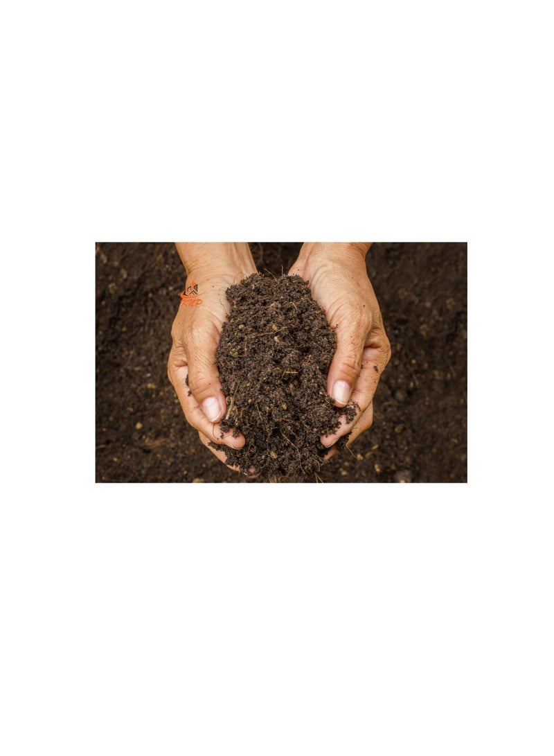 كنب التربة المزروعة الأفضل للنباتات الداخلية 40 لتر - Image 2