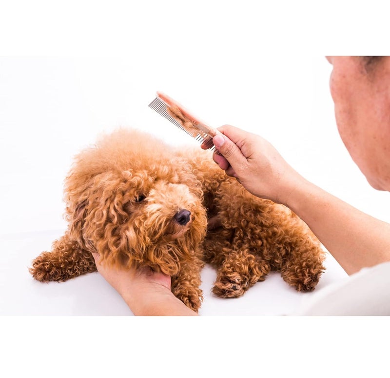 Trixie Metal Comb for Dogs and Cats - Flea & Tick Removal, Gentle Detangling, Healthy Coat Care, Removes Extra Hair, Distributes Natural Oil – 16 cm - Image 5