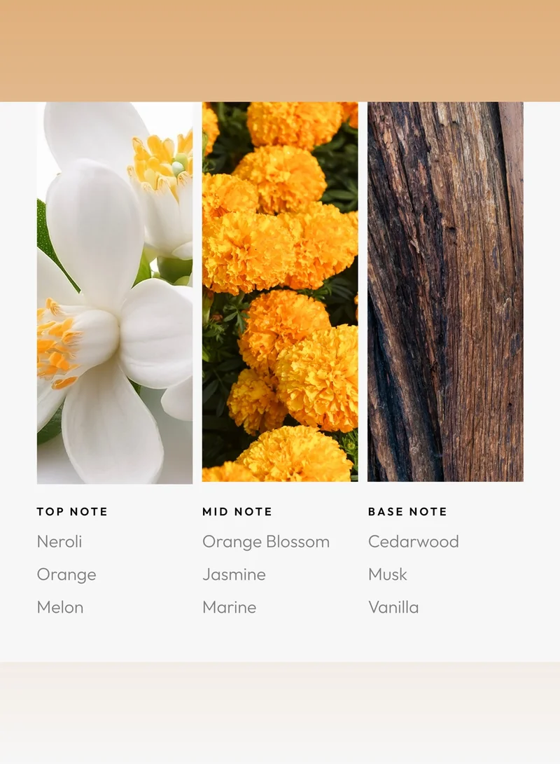 AROMA360 Skyfall Fragrance Oil Blend - Hotel Inspired for Luxury Essential Oil Diffusers - Aromatherapy Scent Diffuser Oil - Neroli, Jasmine, and Vanilla