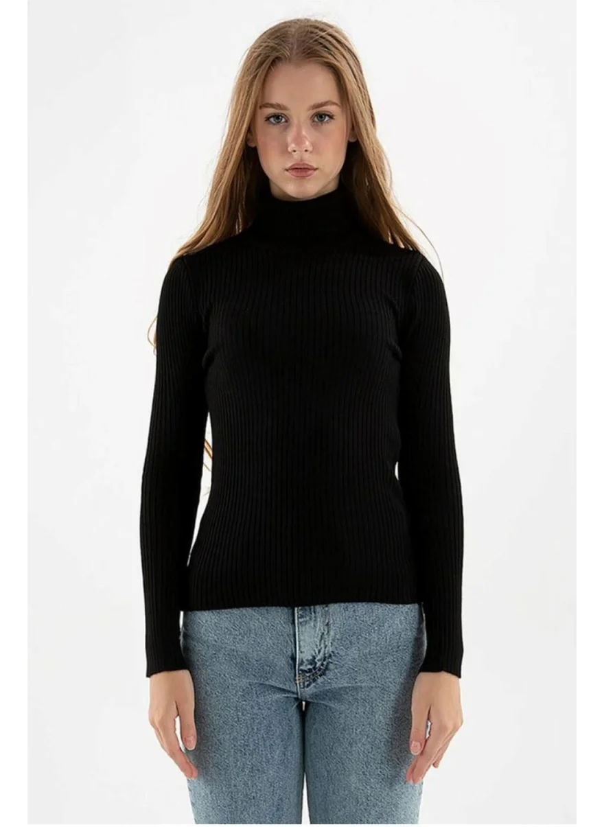 فاشن فريندز 23K0288K1 Women's Turtleneck Sweater