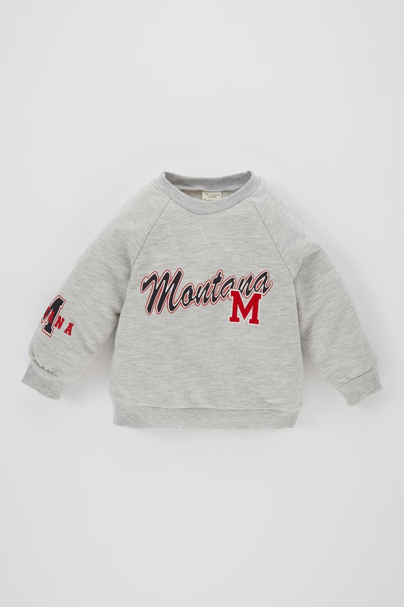 DeFacto Baby Boy Crew Neck Printed Soft Furry Inside Sweatshirt - Image 4