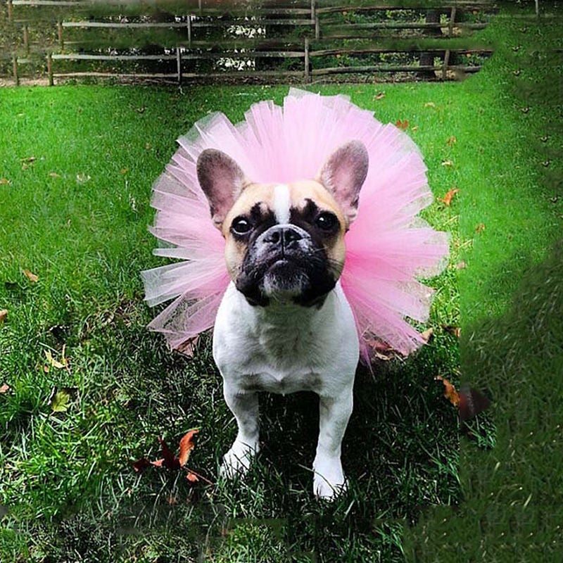 Holiday Pet Mesh Tutu Skirt Cosplay Dress Up Skirt Pet Clothes Skirt Pet Skirt - Image 2