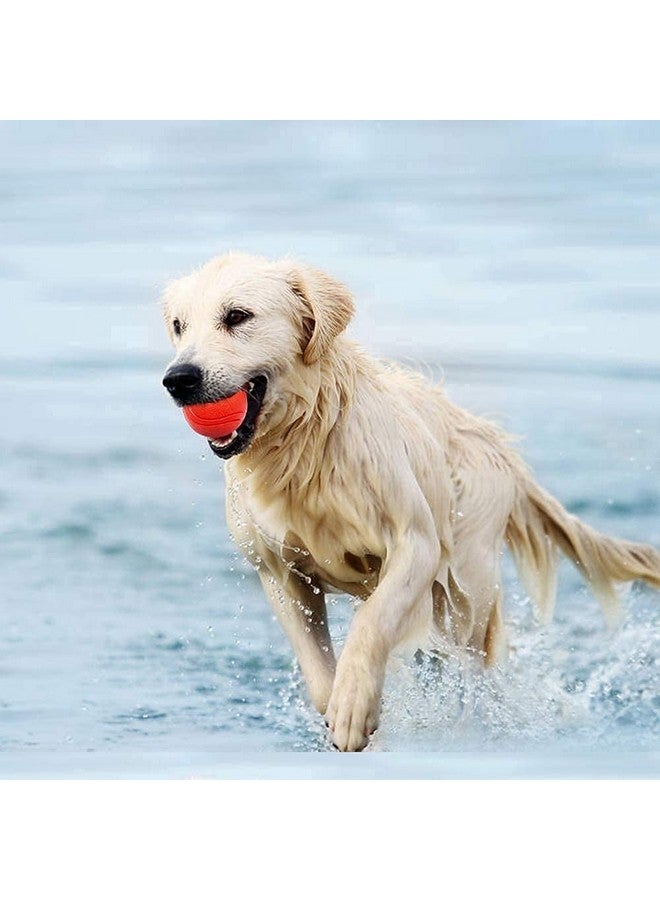 مجموعة كرات الكلاب والألعاب الصاخبة 3 في 1 للكلاب والجراء والقطط (بصمة المخلب + كرة مطاطية صلبة + كرة أسنان مضحكة) - Image 3