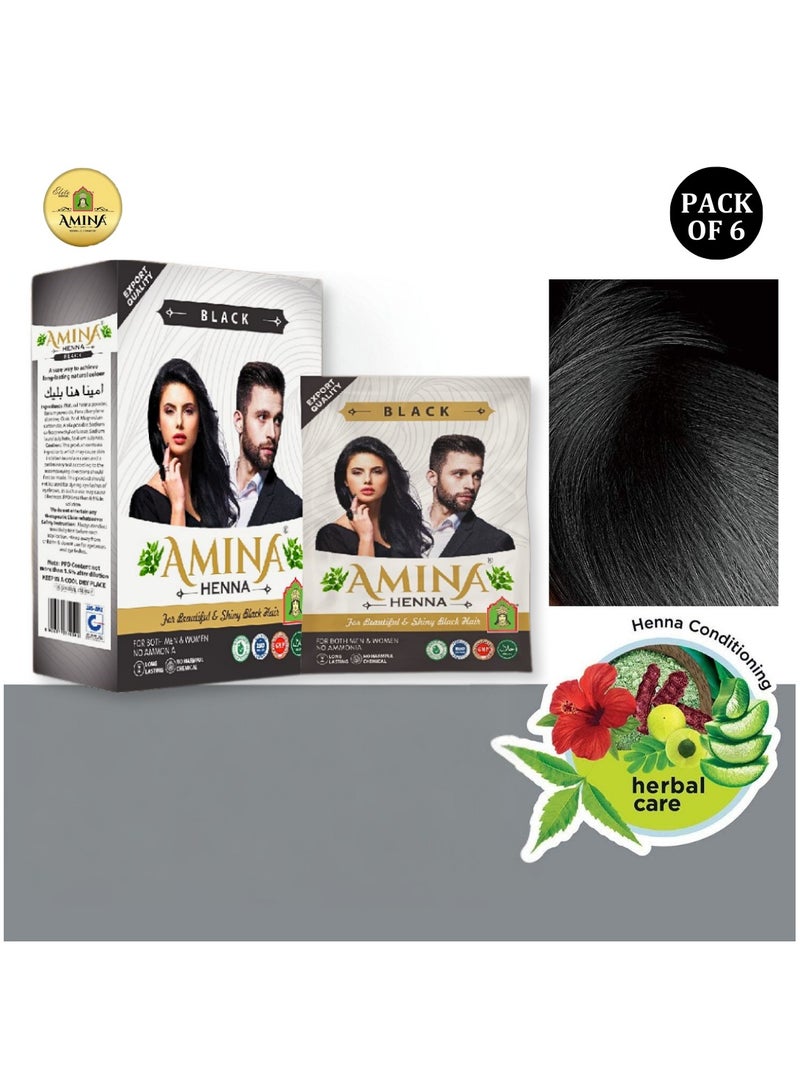 Amina Natural Black Henna Powder For Hair Color, Natural Black Hair, Herbal Conditioning Hair Dye for Silky & Shiny Soft Hair Colour for Men & Women (10 Gms x Pack Of 6) - Image 1