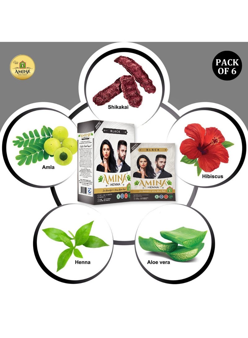 Amina Natural Black Henna Powder For Hair Color, Natural Black Hair, Herbal Conditioning Hair Dye for Silky & Shiny Soft Hair Colour for Men & Women (10 Gms x Pack Of 6) - Image 2