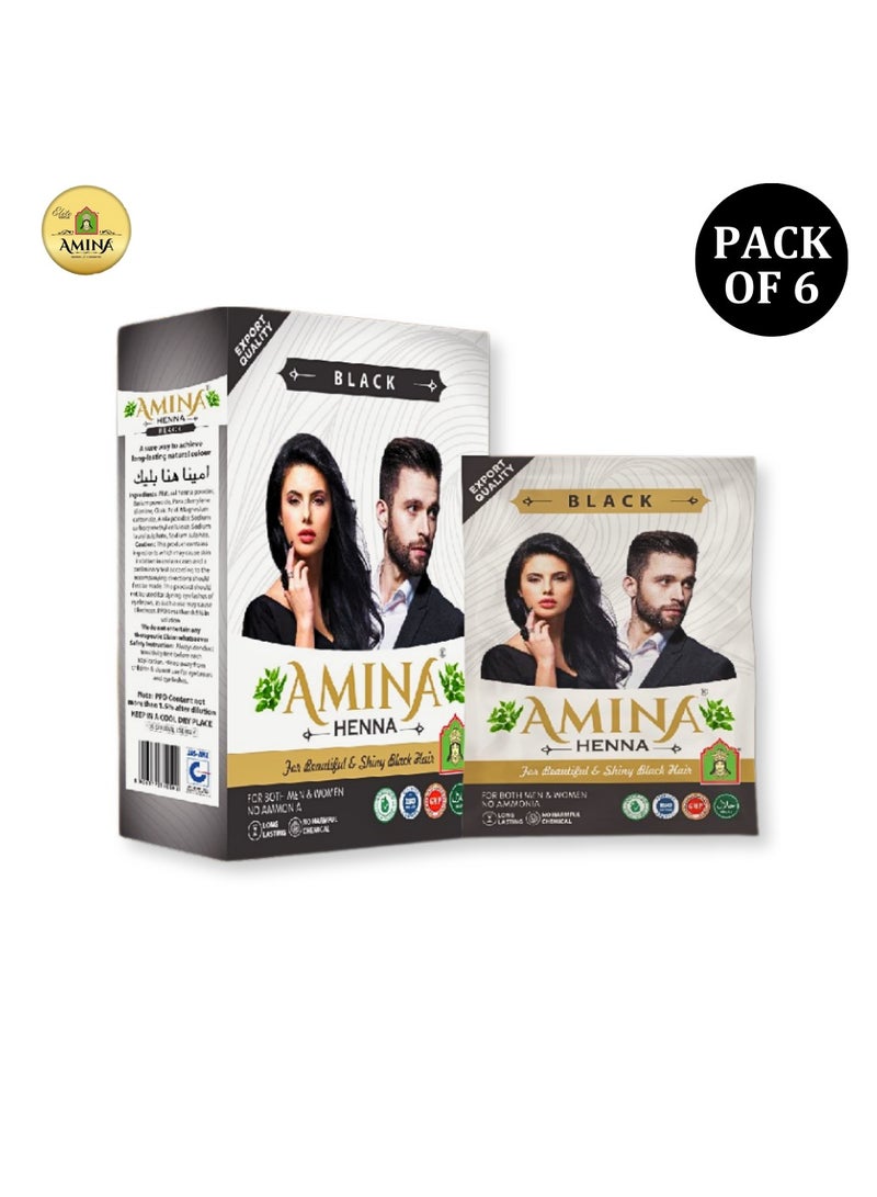 Amina Natural Black Henna Powder For Hair Color, Natural Black Hair, Herbal Conditioning Hair Dye for Silky & Shiny Soft Hair Colour for Men & Women (10 Gms x Pack Of 6) - Image 3