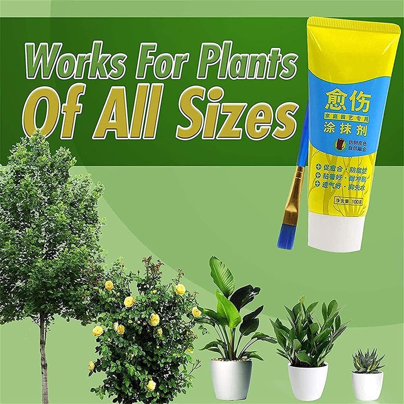 woobles Plant Restoring Regrowth Sealant,Tree Wound Sealer,Bonsai Tree Wound Paste,Tree Wound Bonsai Cut Paste Smear Agent Pruning Compound Sealer with Brush (2 Pcs) - Image 5