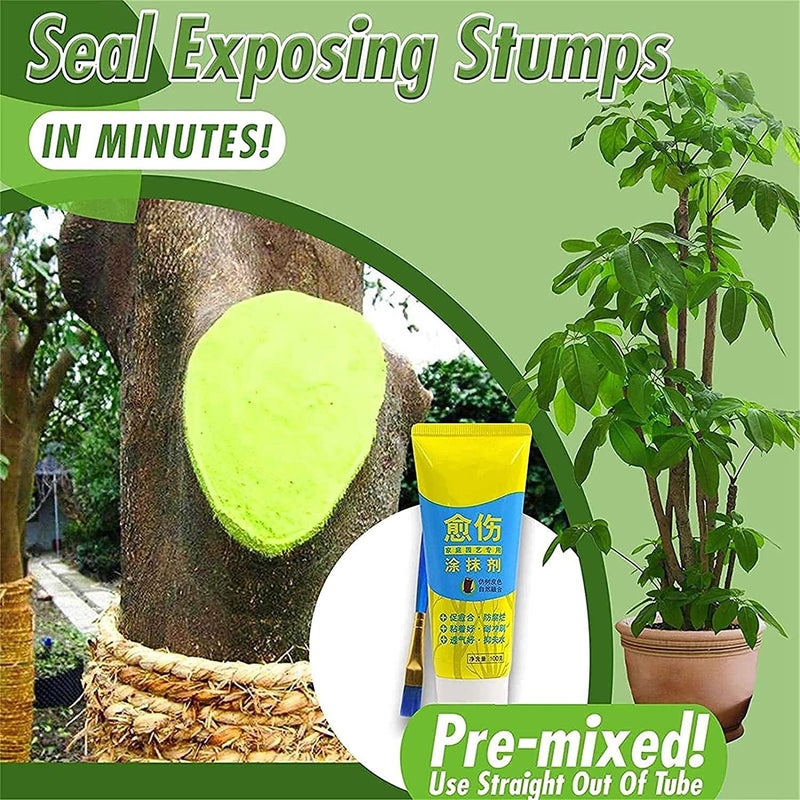 woobles Plant Restoring Regrowth Sealant,Tree Wound Sealer,Bonsai Tree Wound Paste,Tree Wound Bonsai Cut Paste Smear Agent Pruning Compound Sealer with Brush (2 Pcs) - Image 3