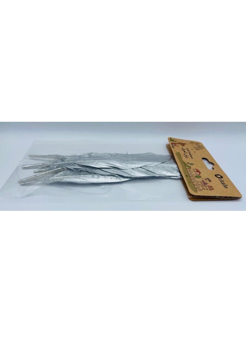 ITALO - 11 Pcs Feathers Crafts Goose Feathers for DIY Earrings Craft For Home Wedding Baby Shower Decorations Silver - Image 1