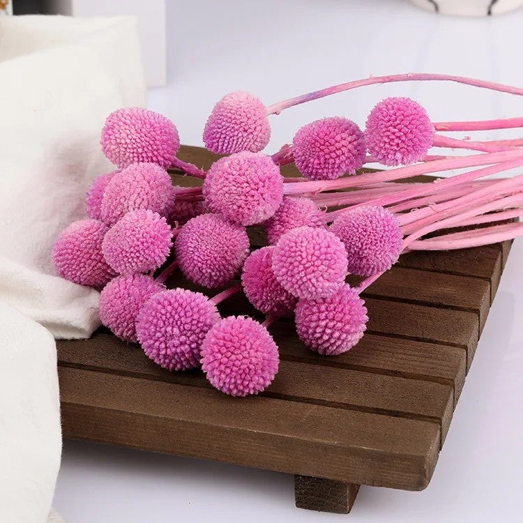 Bluejw Billy Ball Dried Flowers – Preserved Craspedia Globosa for Wedding Bouquets, DIY Arrangements & Home Decor | Natural Dried Plants, Long-Lasting Fresh Cut Look - Image 1