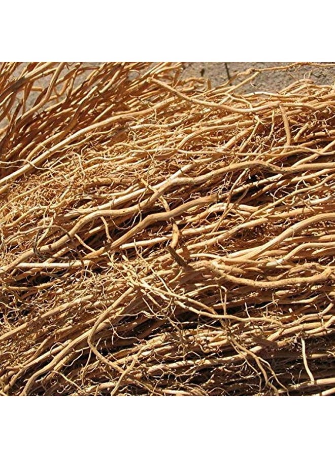 BSD Organics BSD Organics Herby Powder of Vetiveria zizanioides/Khus Khus Grass/Vetiver - 100 g / 0.22 Pounds  - Image 2