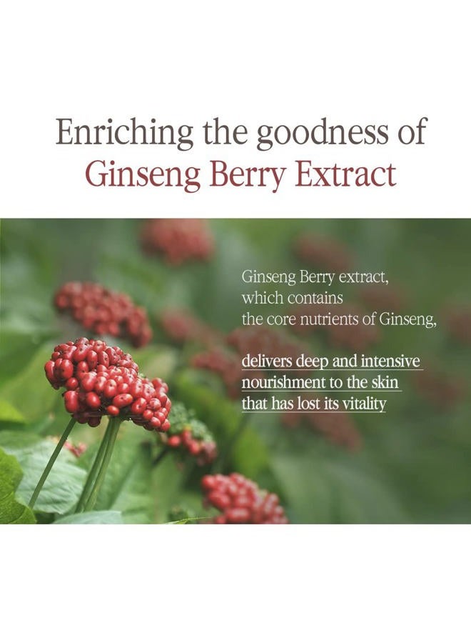 Pyunkang Yul سيروم الشاي الأسود من بيونكانغ يول لتعزيز مكافحة الشيخوخة، تغذية مركزة للعناية بالخطوط الدقيقة مع الكمبوتشا، مستخلص فاكهة الجينسنغ، بدون تهيج، العناية بالبشرة الكورية (1.52 أونصة سائلة، 45 مل) - Image 5