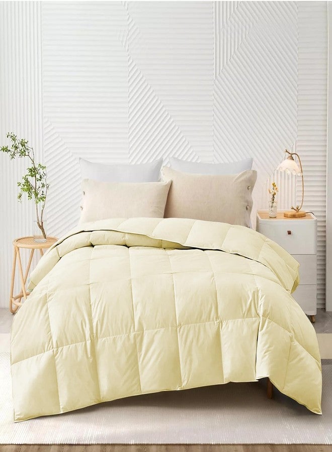 AYANSHI BEDDING Hotel Collection All Season 120 GSM Ac Comforter/Ac Blanket/Ac Duvet Double Bed Comforter (90" X 100" Inches) - Double Bed Comforter - Ivory Color - Image 1