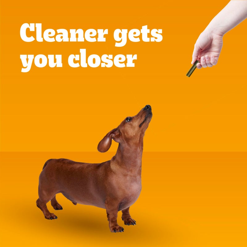 Pedigree Dentastix Small and Toy Breed Dog Treats, Fresh Flavor, 1.54 lb. Bag (102 Treats) - Image 5