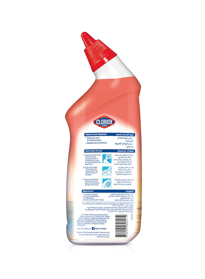Clorox Toilet Cleaner Citrus Scent 3 x 709ml - Image 2