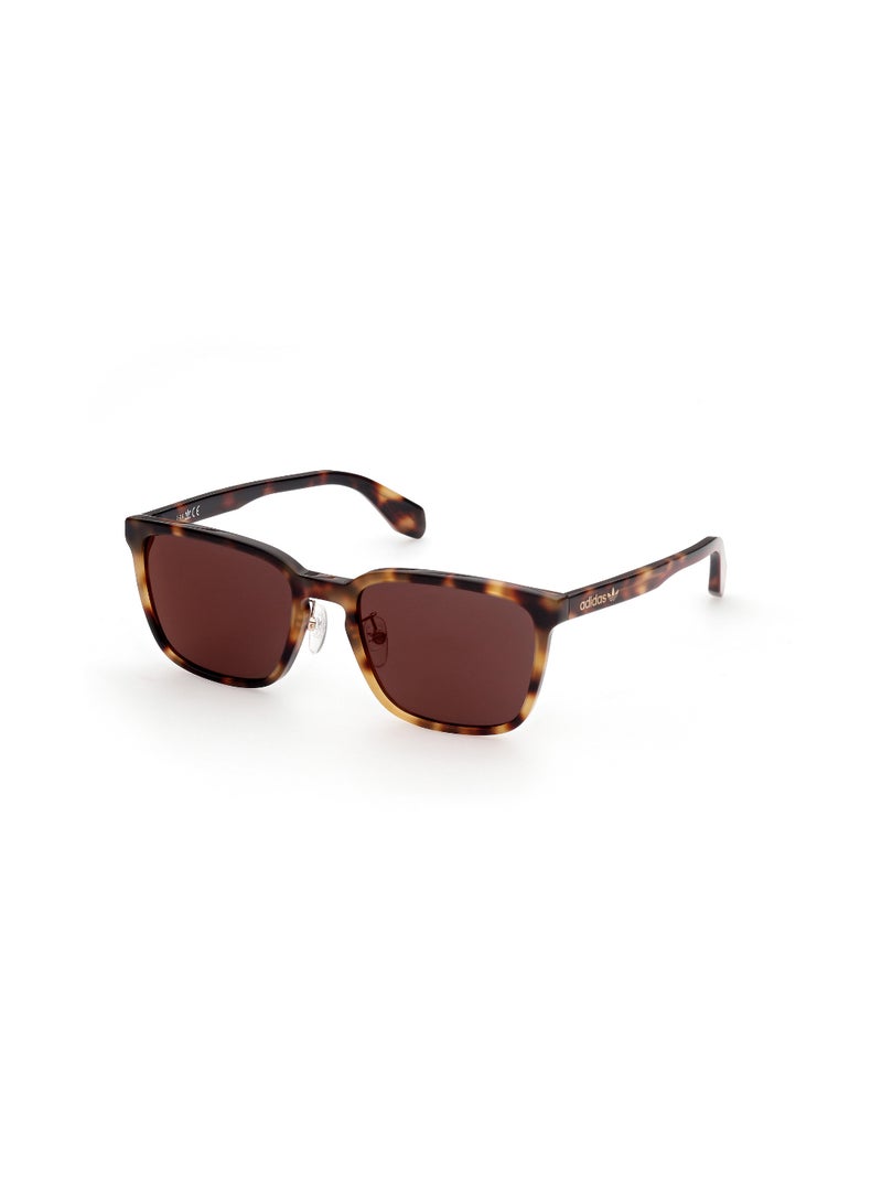 ADIDAS FULL RIM MALE ROUND BROWN ACETATE SUNGLASSES - Image 1