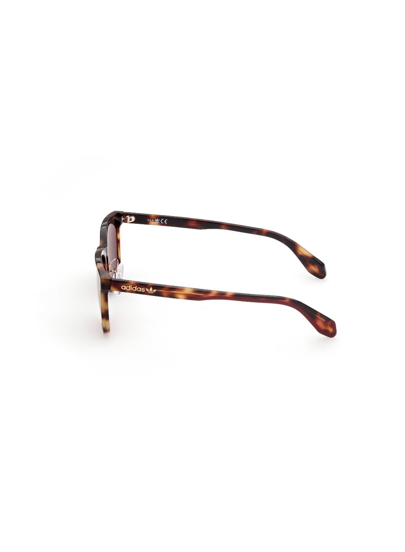 ADIDAS FULL RIM MALE ROUND BROWN ACETATE SUNGLASSES - Image 2