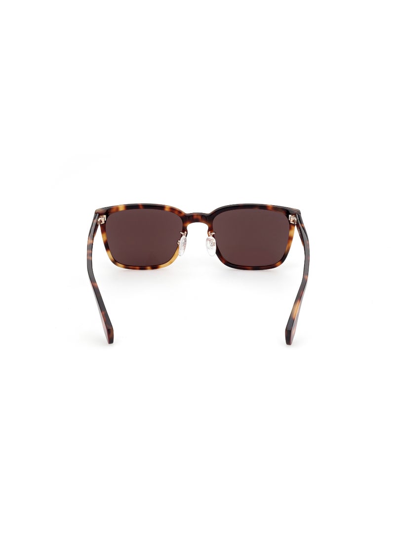 ADIDAS FULL RIM MALE ROUND BROWN ACETATE SUNGLASSES - Image 4