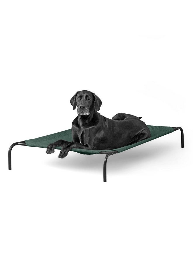 Coolaroo 474676 Original Elevated Pet Bed, Extra Large, Brunswick Green - Image 1