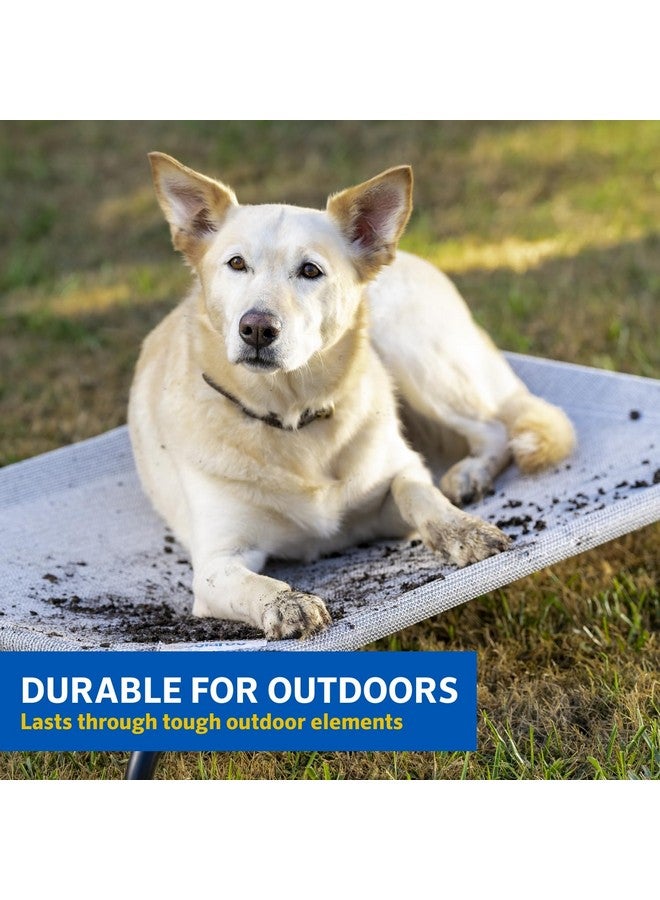 Coolaroo 474676 Original Elevated Pet Bed, Extra Large, Brunswick Green - Image 4