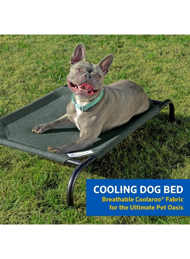 Coolaroo 474676 Original Elevated Pet Bed, Extra Large, Brunswick Green - Image 2