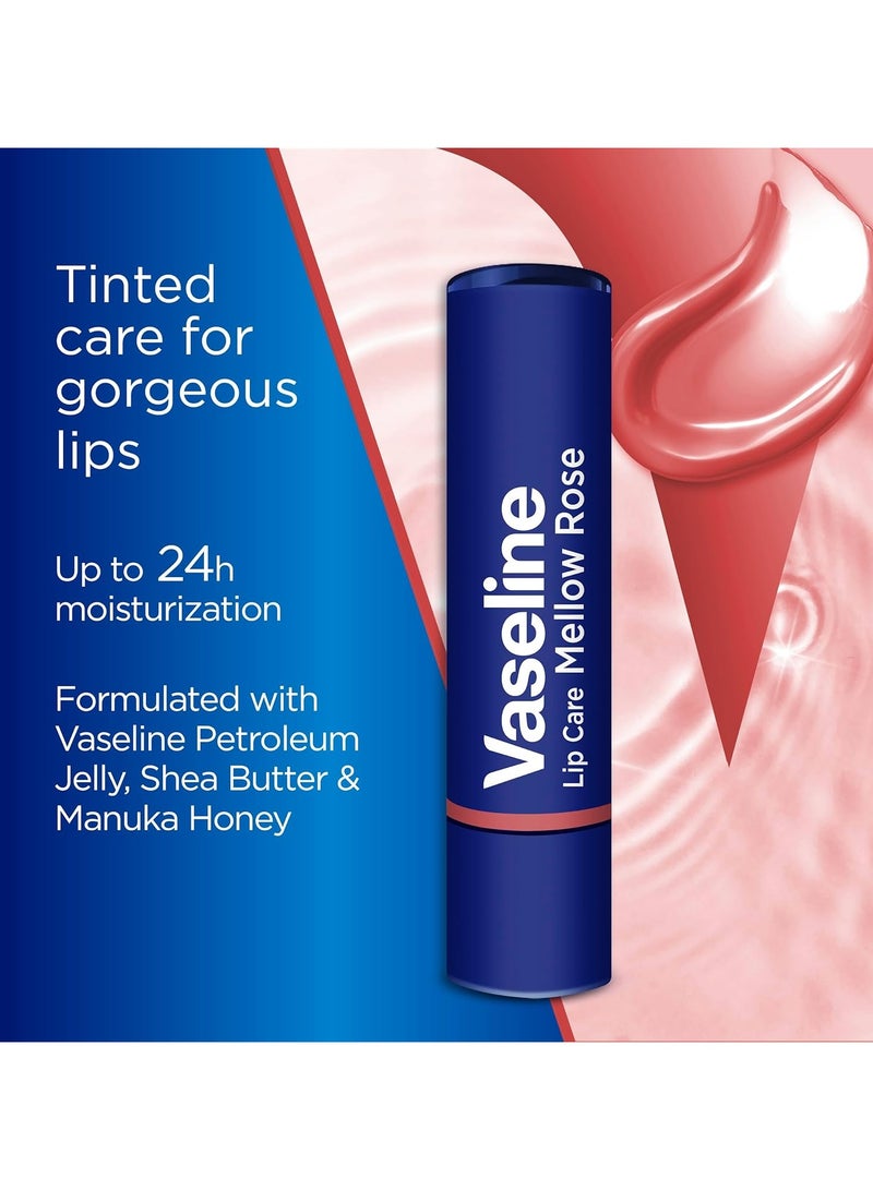 Vaseline Color and Care Lip - Mellow Rose - Image 2
