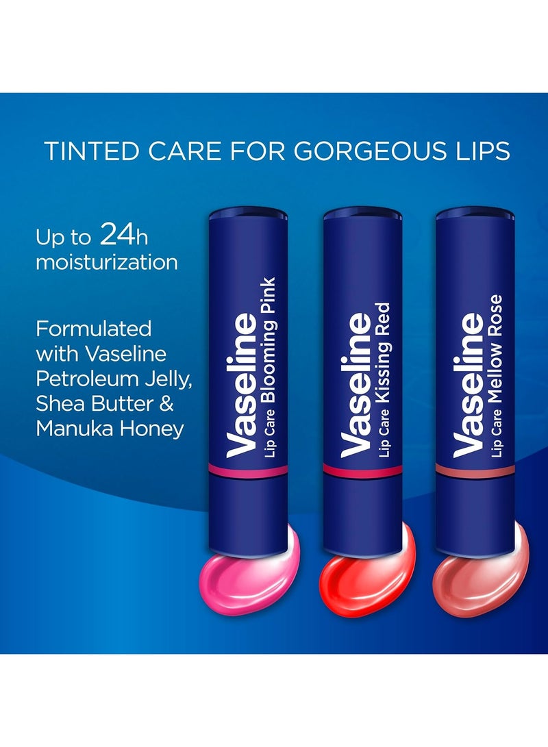 Vaseline Color and Care Lip - Mellow Rose - Image 3